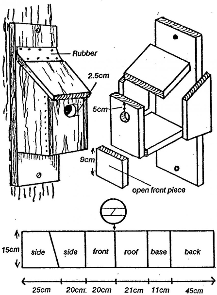 Bird and bat boxes | Suffolk Wildlife Trust